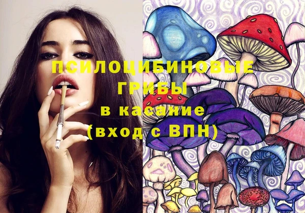 индика Армянск