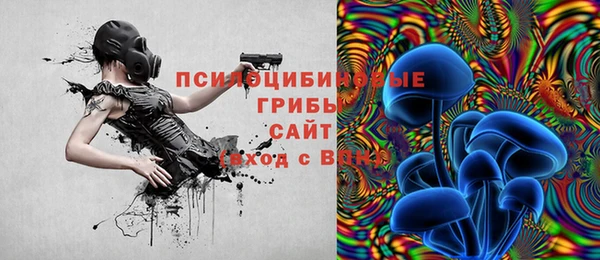 прущие грибы Арсеньев