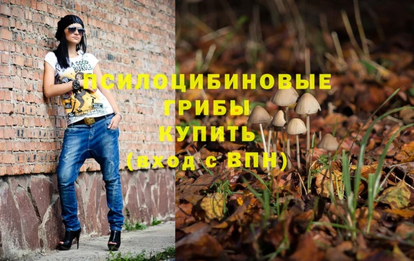прущие грибы Арсеньев