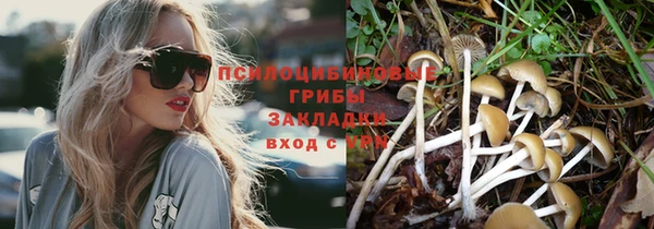 прущие грибы Арсеньев