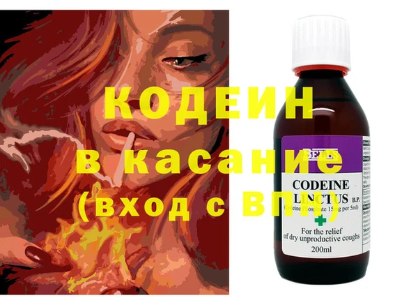 индика Армянск