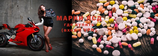 индика Армянск
