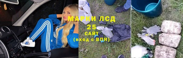 прущие грибы Арсеньев