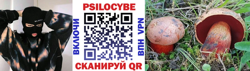 ОМГ ОМГ ССЫЛКА  Лосино-Петровский  Галлюциногенные грибы прущие грибы 